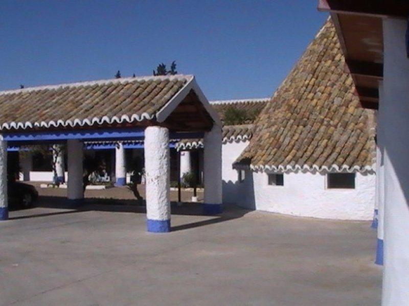 Don Kişot’un yel değirmenleri