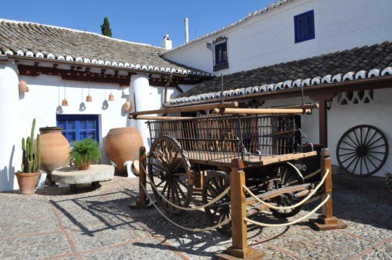 Don Kişot’un yel değirmenleri