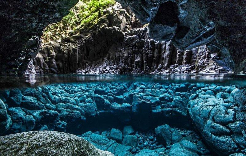 Muhteşem su altı fotoğrafları