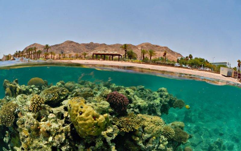 Muhteşem su altı fotoğrafları