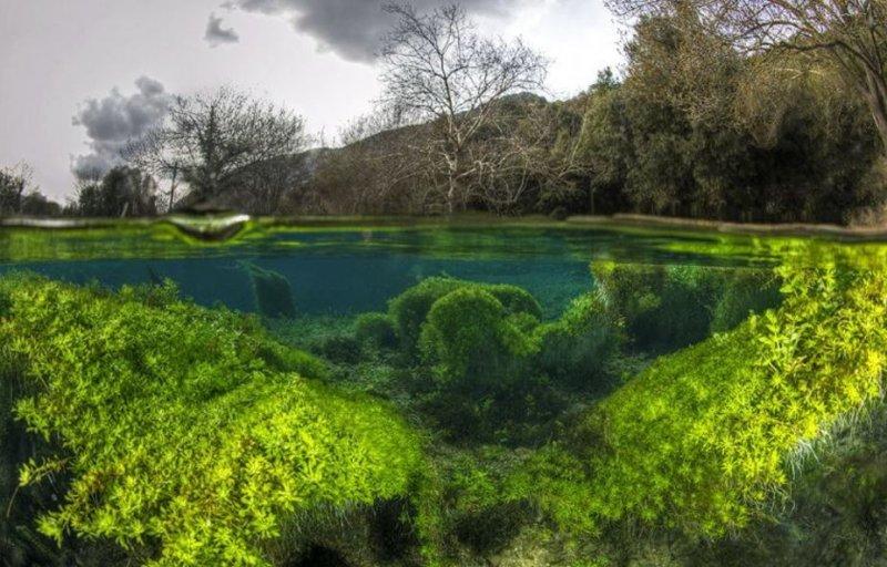 Muhteşem su altı fotoğrafları