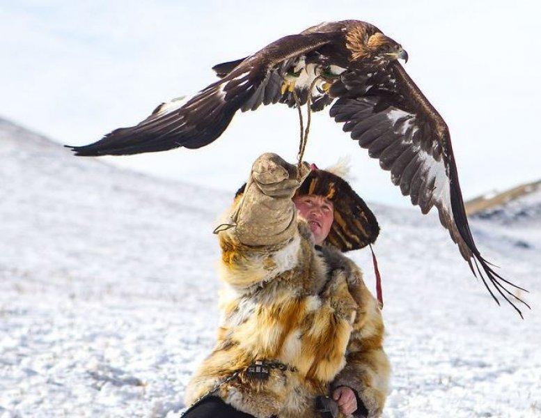 Moğolistan'da altın kartal festivali başladı 