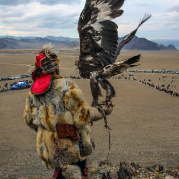 Moğolistan'da altın kartal festivali başladı 