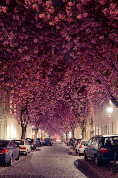 Dünyanın en güzel 10 sokağı 