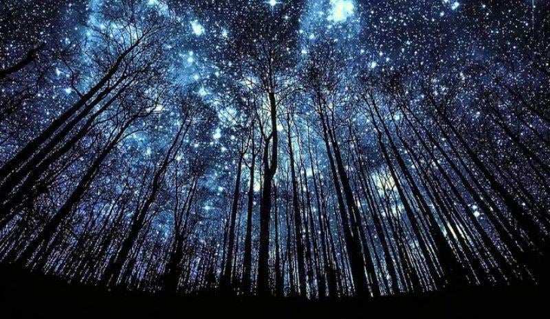 2016'da bilim dünyasında yaşanan önemli gelişmeler