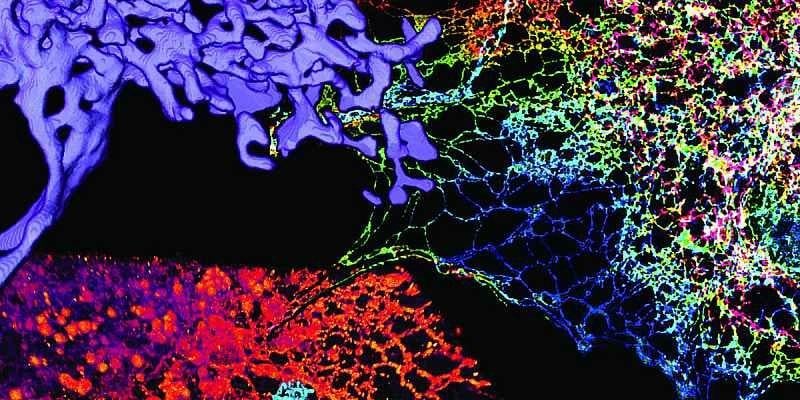 2016'da bilim dünyasında yaşanan önemli gelişmeler