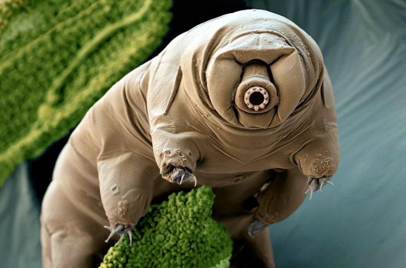 2016'da bilim dünyasında yaşanan önemli gelişmeler