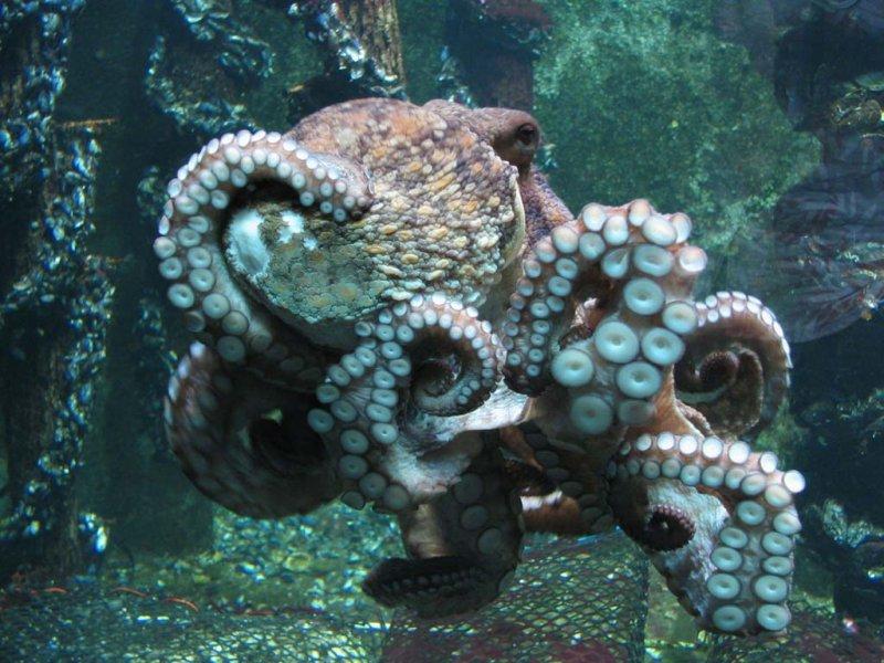 2016'da bilim dünyasında yaşanan önemli gelişmeler