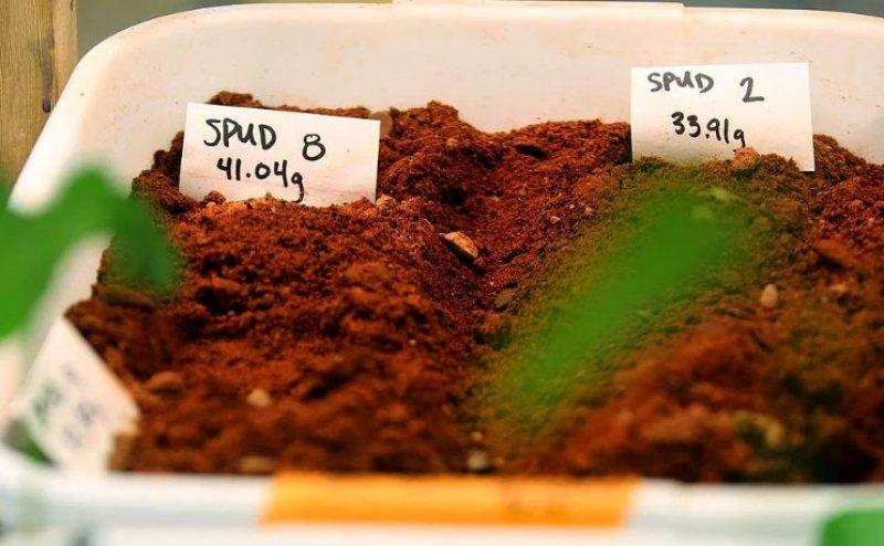 2016'da bilim dünyasında yaşanan önemli gelişmeler