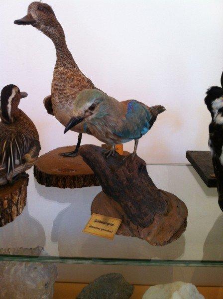 Ege’nin en güzel 7 köyü 