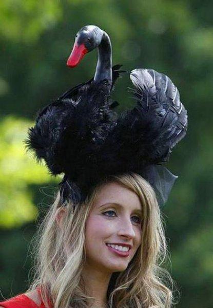 Birbirinden ilginç şapka modelleri 