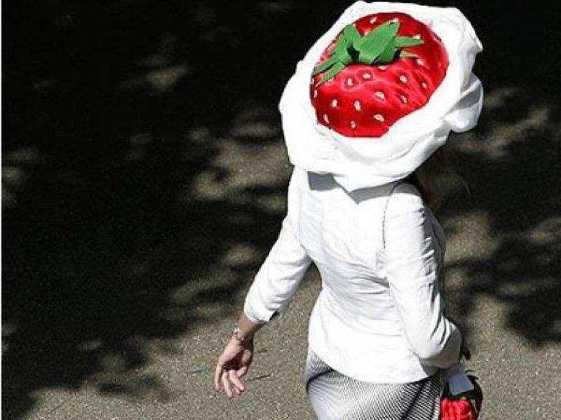 Birbirinden ilginç şapka modelleri 