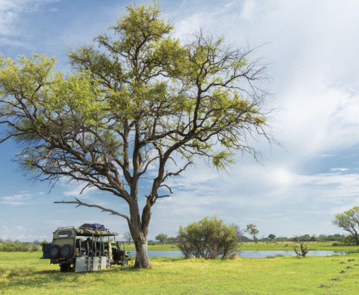 Kalahari Çölü'nün yeşil şehri: Botsvana