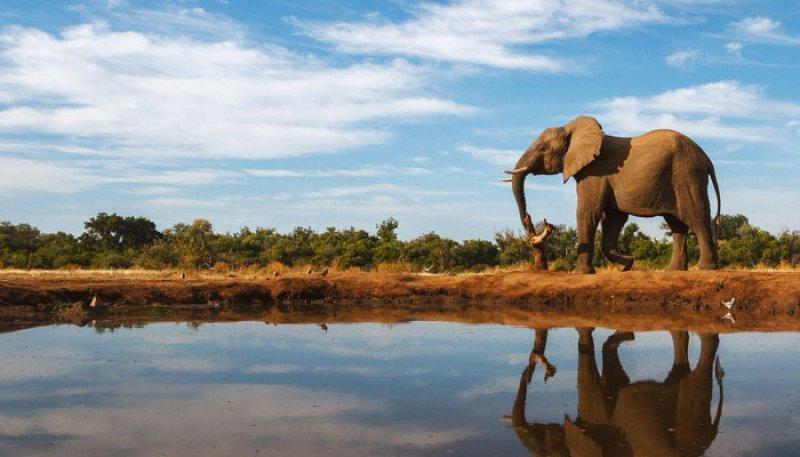 Kalahari Çölü'nün yeşil şehri: Botsvana