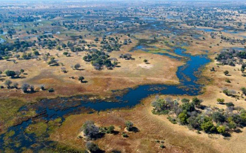 Kalahari Çölü'nün yeşil şehri: Botsvana