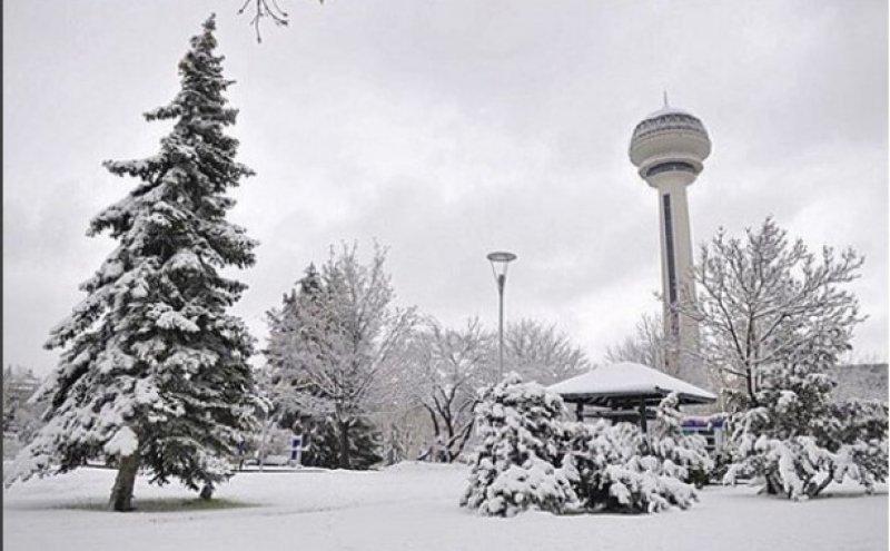 Yoğun kar yağışı yurtta etkili oldu 