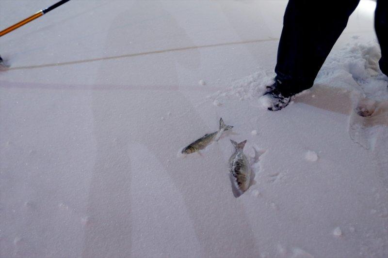 Yoğun kar yağışı yurtta etkili oldu 
