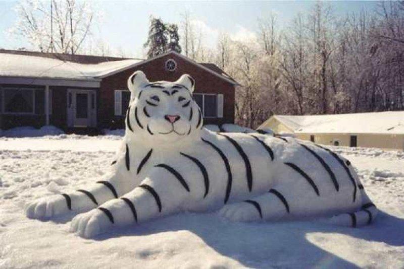 Kardan yapılan ilginç heykeller 