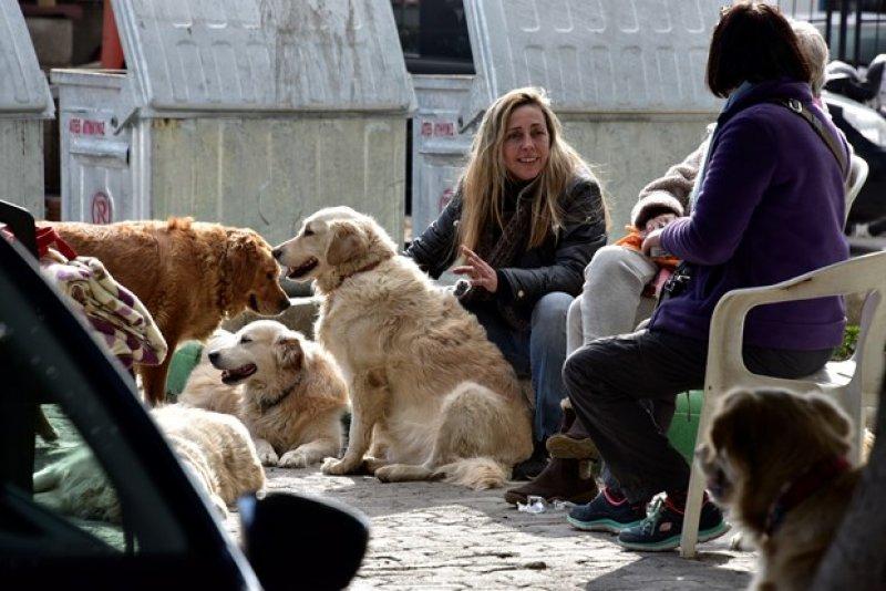 Golden Çetesi öksüz kaldı 