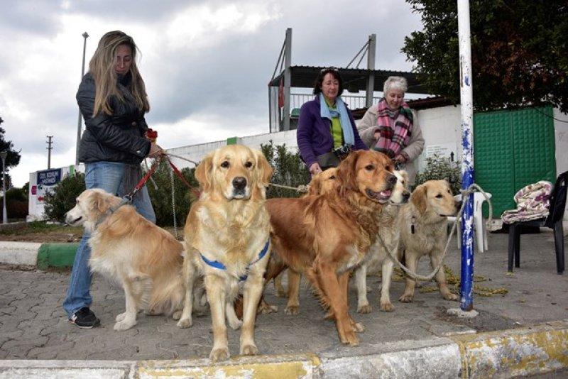 Golden Çetesi öksüz kaldı 