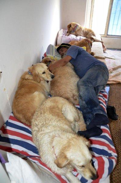 Golden Çetesi öksüz kaldı 