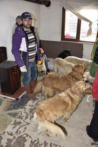 Golden Çetesi öksüz kaldı 