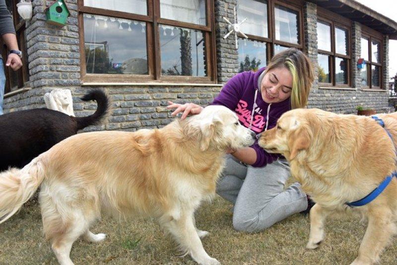 Golden Çetesi öksüz kaldı 