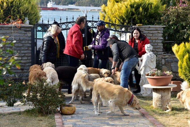 Golden Çetesi öksüz kaldı 