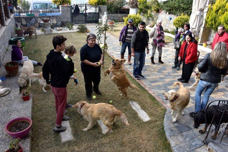 Golden Çetesi öksüz kaldı 