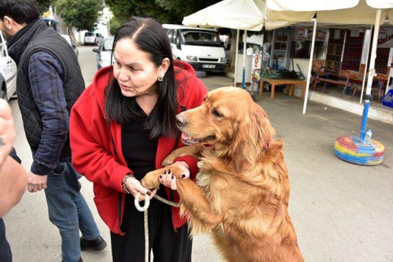 Golden Çetesi öksüz kaldı 