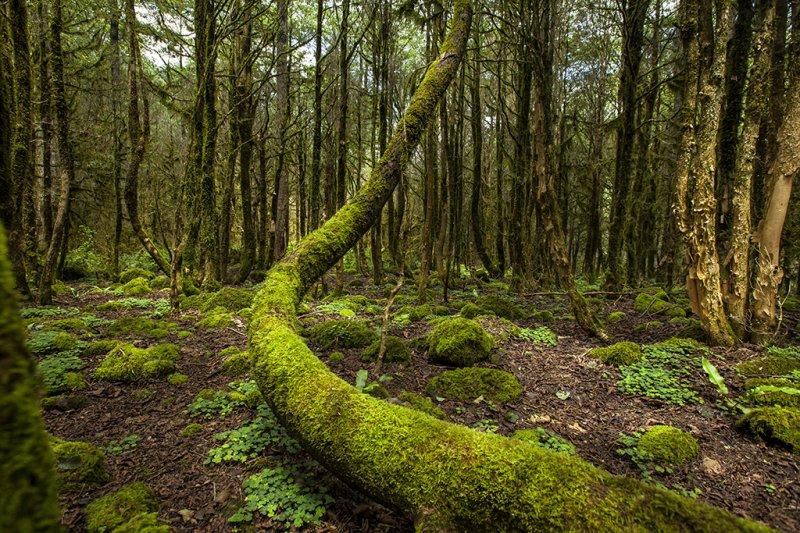 Dünyanın en korkunç mekanları 