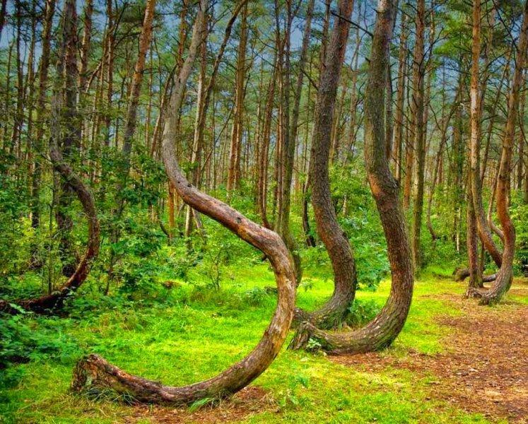 Dünyanın en korkunç mekanları 