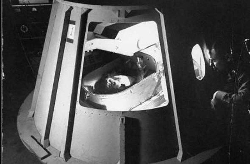 Uzaya yollanan hayvanlar