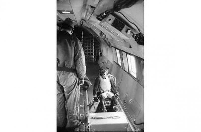 Uzaya yollanan hayvanlar