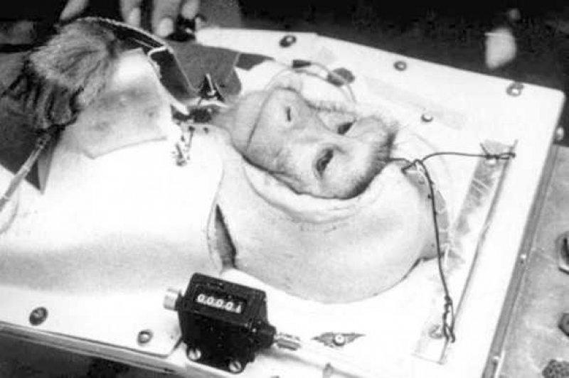 Uzaya yollanan hayvanlar