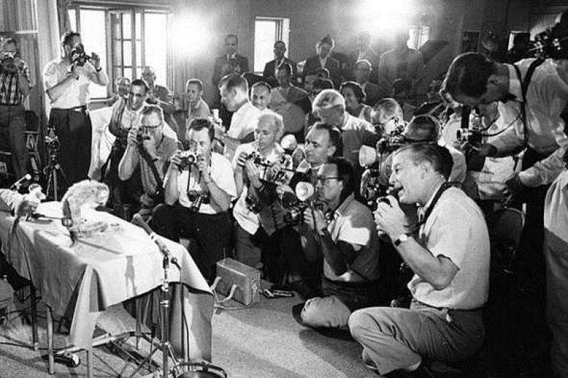 Uzaya yollanan hayvanlar