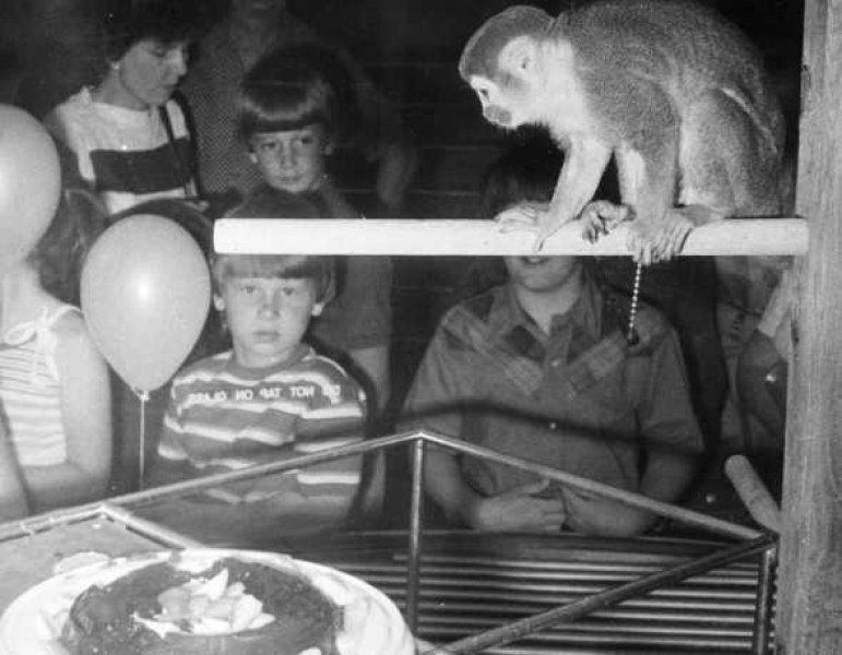 Uzaya yollanan hayvanlar