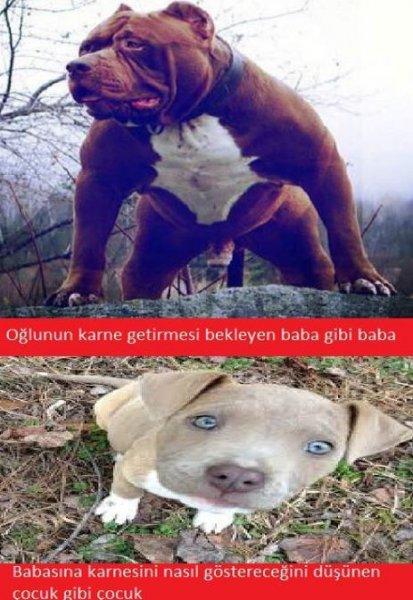 Birbirinden komik karne günü capsleri 