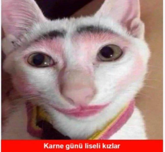 Birbirinden komik karne günü capsleri 