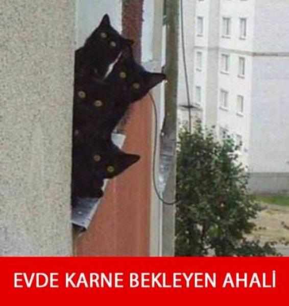 Birbirinden komik karne günü capsleri 