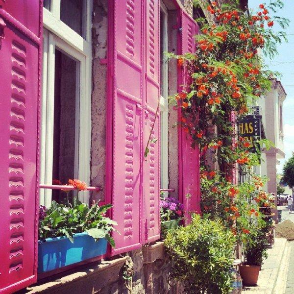 Rüyaları süsleyen pembe panjurlu evler