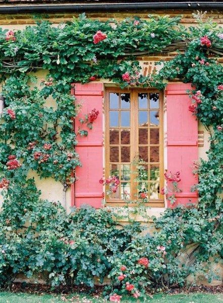 Rüyaları süsleyen pembe panjurlu evler