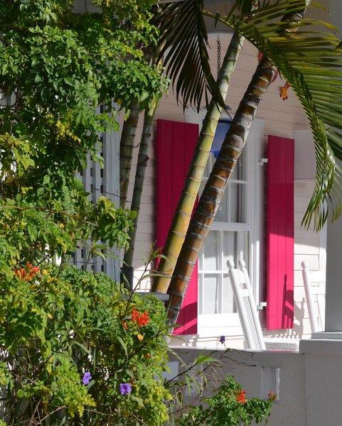 Rüyaları süsleyen pembe panjurlu evler