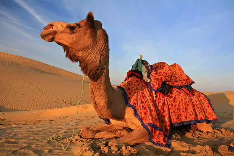 Fas'ın gözbebeği: Tanca