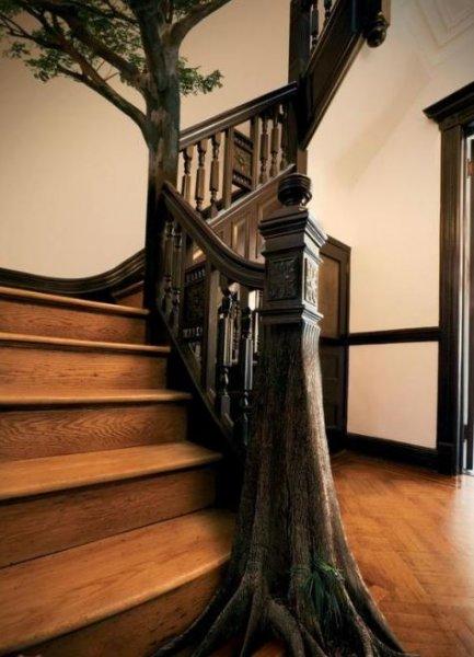 Tasarımlarıyla göz dolduran ilginç merdivenler