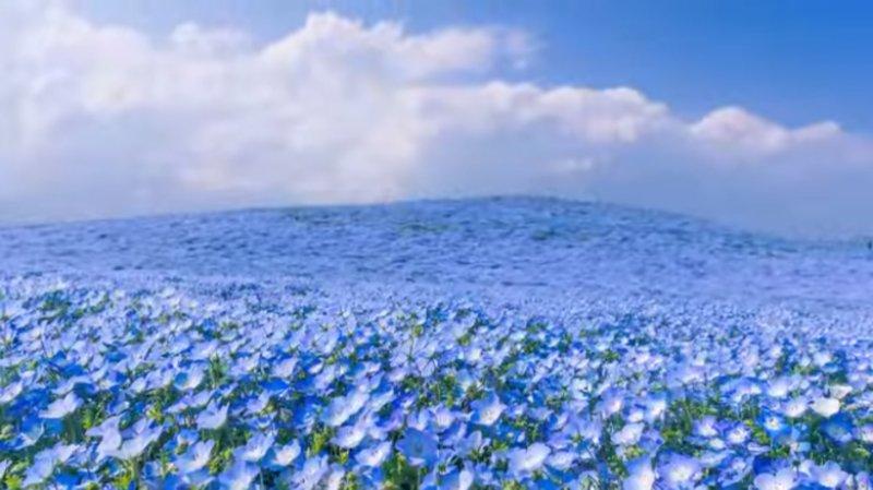 Dünyanın en güzel 15 doğa harikası 