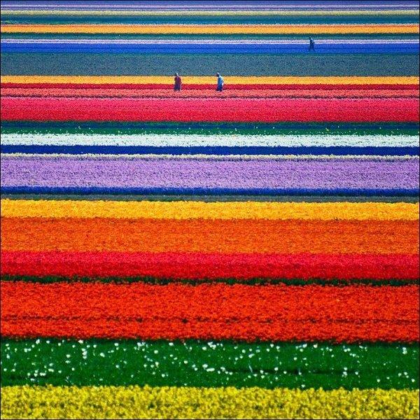 Dünyanın en güzel 15 doğa harikası 