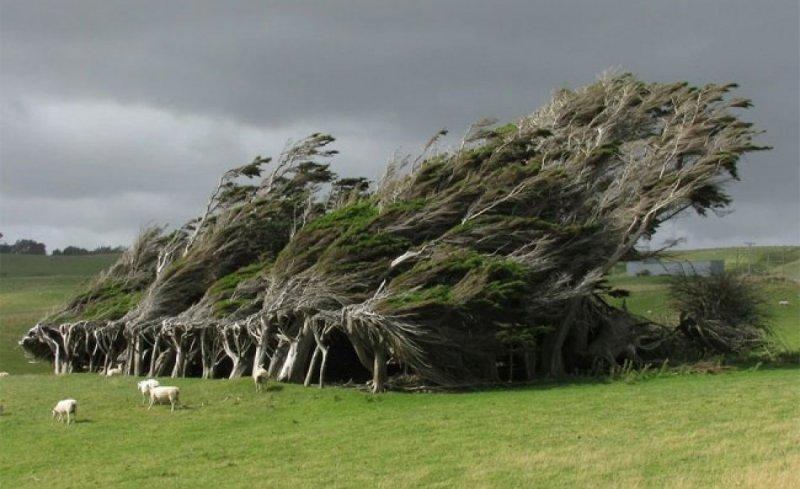 Dünyanın en güzel 15 doğa harikası 