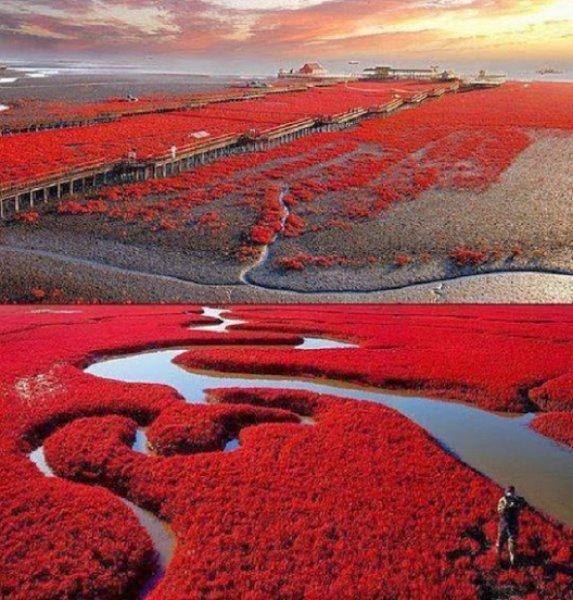 Dünyanın en güzel 15 doğa harikası 