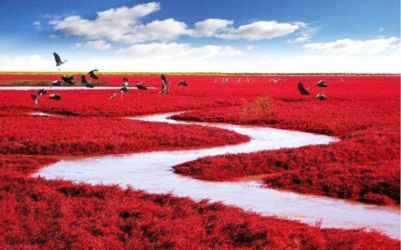 Dünyanın en güzel 15 doğa harikası 